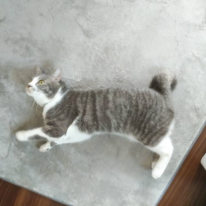 33404373 5178 4638 ba6f 6674b73ae623 1588461499682