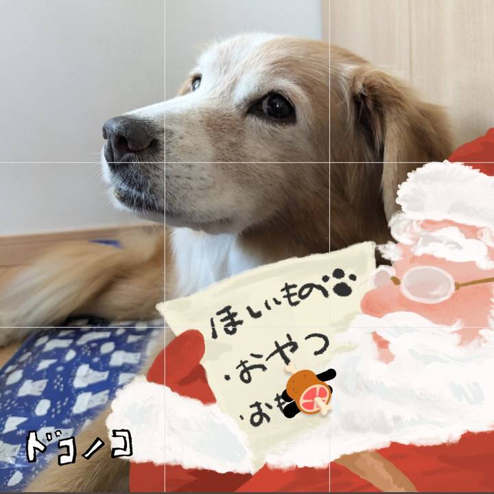 3340d045 8a2c 4b52 bbc4 7907dbcf698d 1729045307192