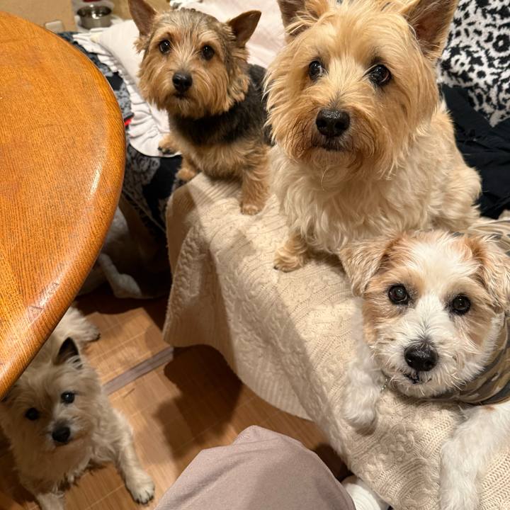 3340d180 ce96 4e53 8721 23703c7ed845 1767193653476