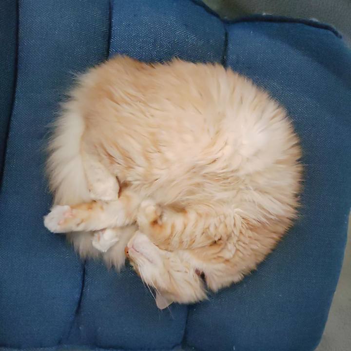 334135d7 4ee8 445d 93f5 038156378028 1663885869743