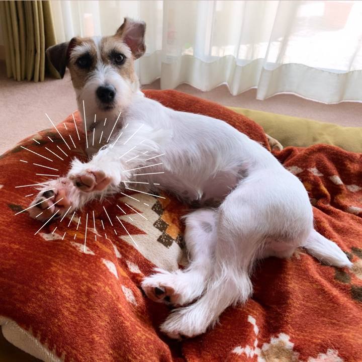 33415723 e660 4200 aed0 97b670160263 1596605758290