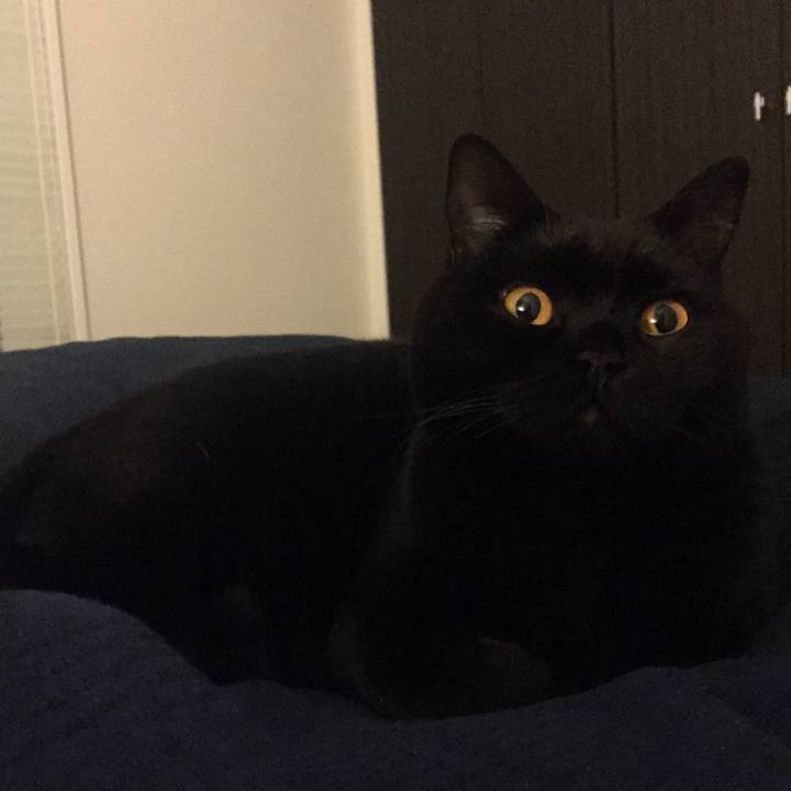 33415785 f0e6 42cd 9c43 9862f1d3f9ba 1548942122214