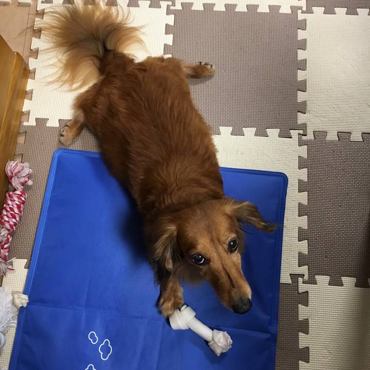 3341a5a3 177c 41a6 bde1 2cbc7d25eaf3 1562758951439