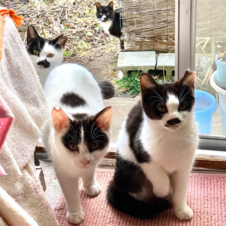 3341abb7 9e1a 4e7a 8690 e3cf3ba4fa78 1580646251843