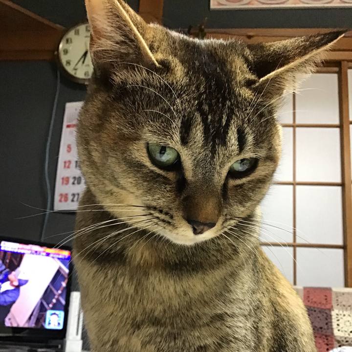 3341ae4a f736 4ce3 8532 63077b070e5a 1586773413322