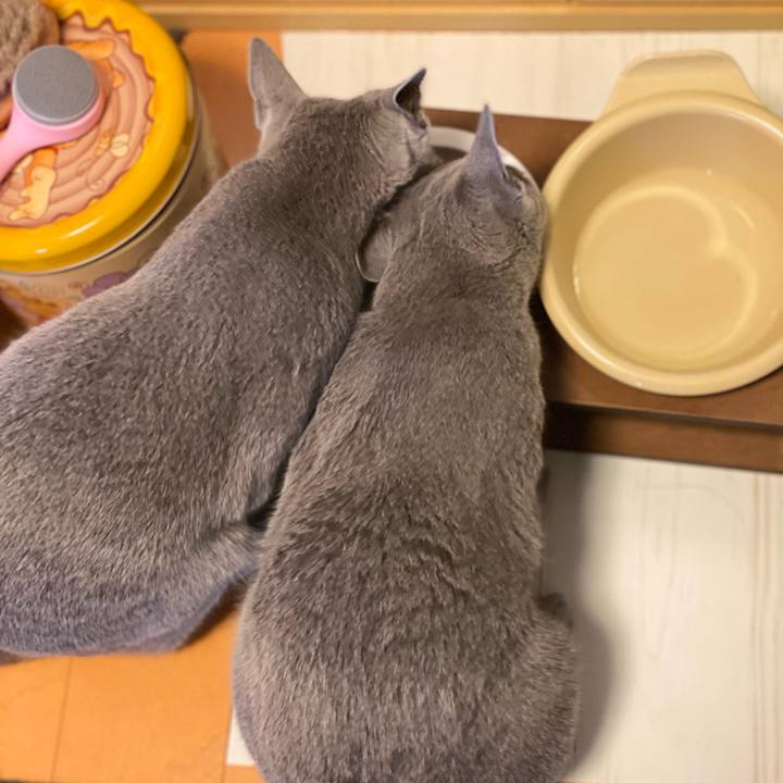 33423749 28f3 48ae 8cd6 45a9389b7749 1615173965535