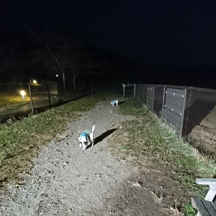 33425208 d26d 4962 86d8 f7dff811fdb3 1573391096023