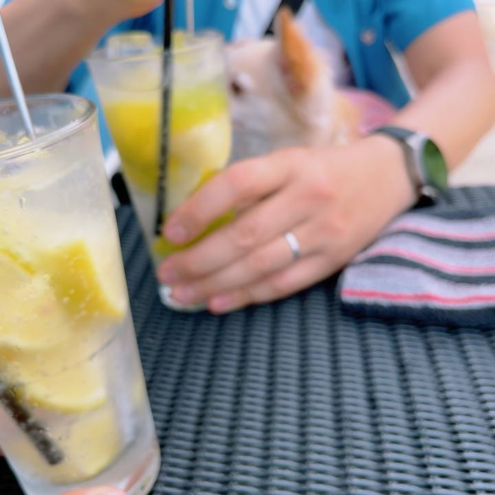 33426cc2 fc14 482c 8ba2 40bed6c0d1f1 1694428368506