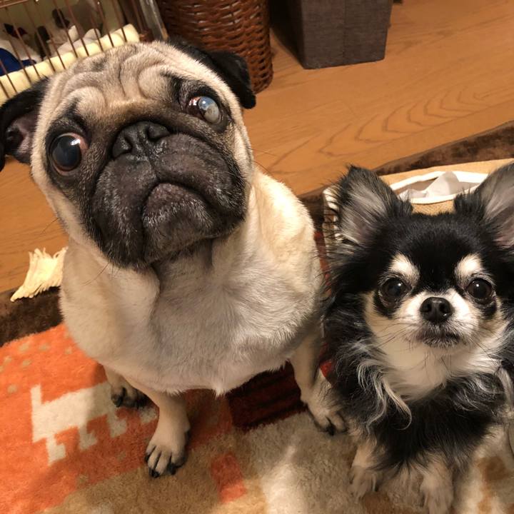 33427468 1d6e 4be5 81da ca1f2fac14ad 1522943654173