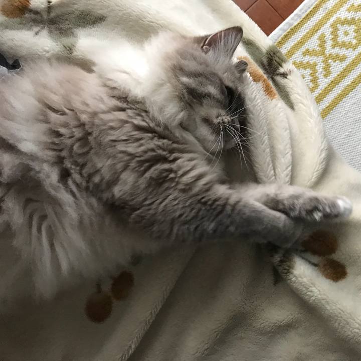 33428290 07bb 43c1 8184 0d0572501363 1507989239244