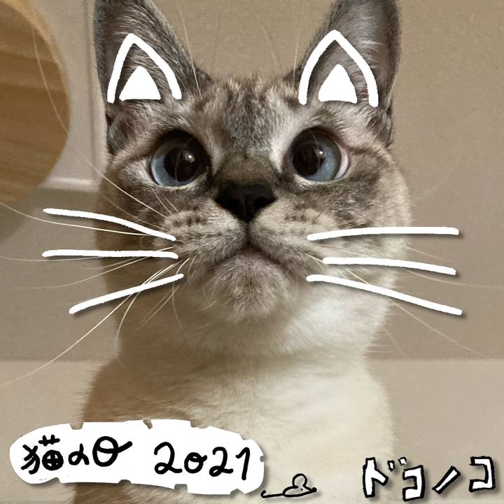 334288fc 5f77 4a6d 8501 d15ecd82541c 1613966238936