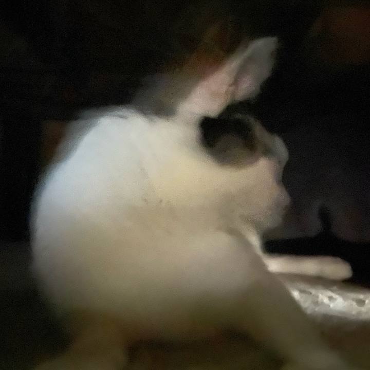 3342ba50 96c2 49f9 be97 e5e4d5a3f578 1577098805298