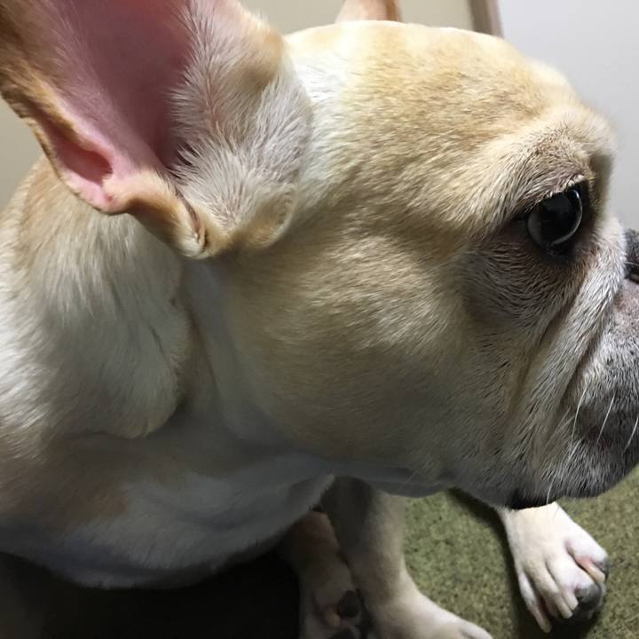 3342cd3c 1e72 453d b97f cde5d70561ae 1513001067413