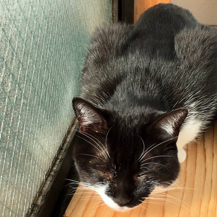 3342d9f9 5382 4968 b3e8 c3cf1b0ab8e2 1513131197607