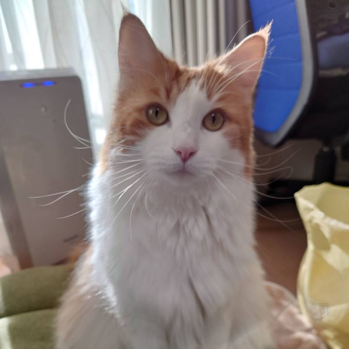 3342f519 092e 4265 8055 289f78307c5c 1607057010577