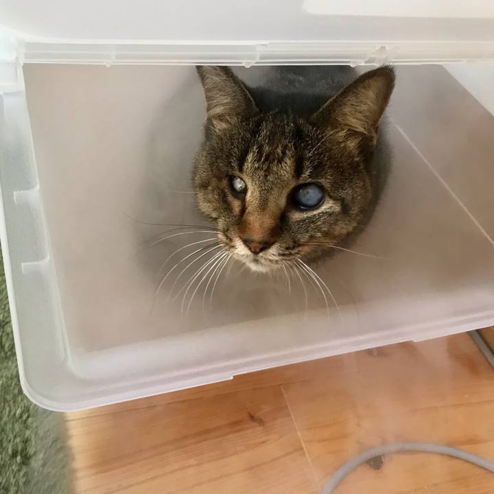 334302ec 5399 4ded 9440 05a2a51ca133 1608644095799