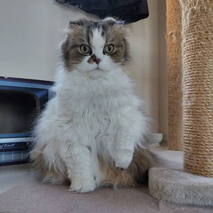 33431b2b 5e03 4856 b9dd 3ff2f789b9c4 1764719788504