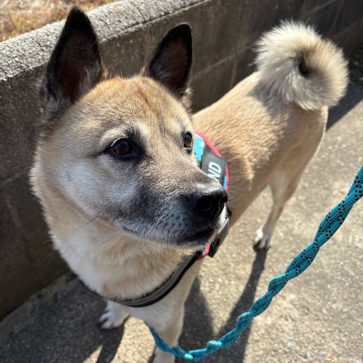 334376b2 2b21 4d8f 8db8 1a4ebccf7b38 1738240720748