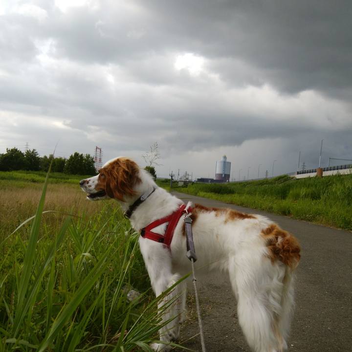 3343b161 9faf 4af8 822f 5cd2d776a4ab 1530534823015