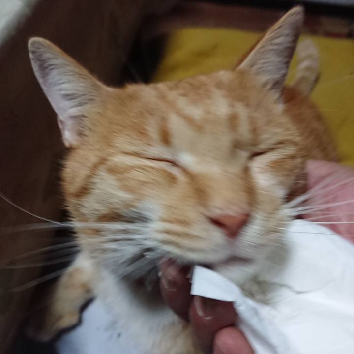 3343f49f 4b93 4fbf 87c1 6799924f0015 1571259719746