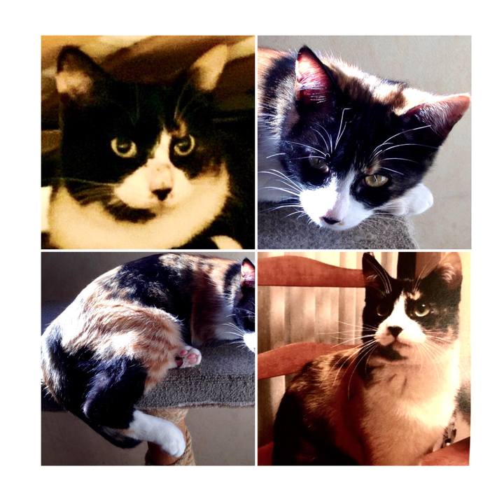 33440480 4f5c 4b23 83c5 5563db6c9307 1592729878351