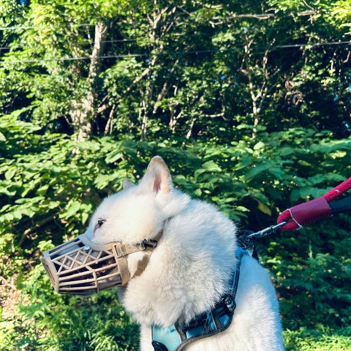 3344caa3 0c5f 4586 b07d 394f81aca6dd 1753223589204