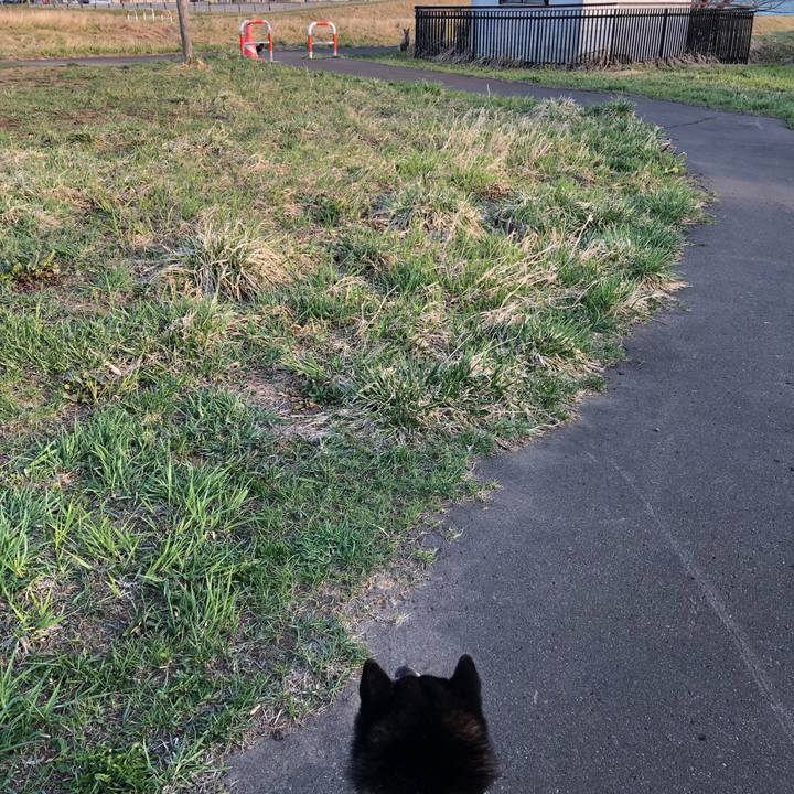 3344f448 f7b0 471b b1a8 a653fbeb0873 1555812496392