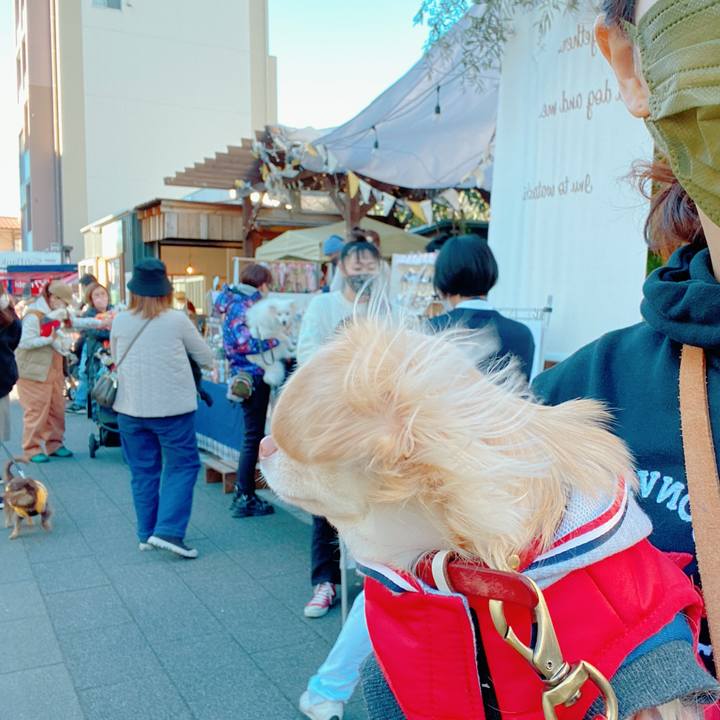 3344f646 3992 4d52 bbc8 ee6b84003c09 1638067630250