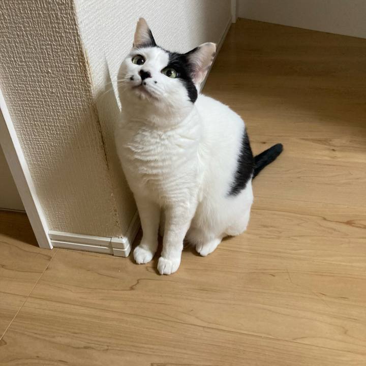 334501fd 9eee 4795 8b8b a5f2cb871876 1771188594707