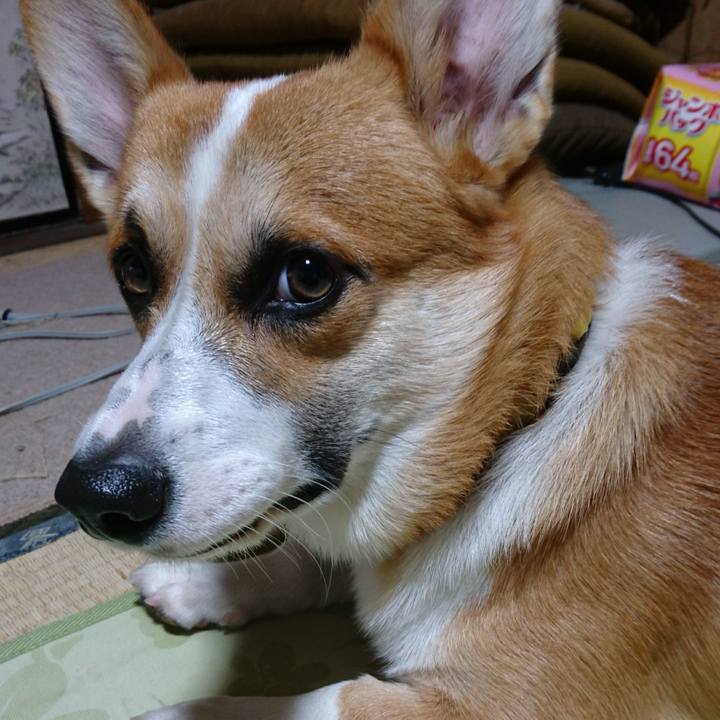 33451b27 1055 4e73 be89 1b8c19df4f91 1571092649405