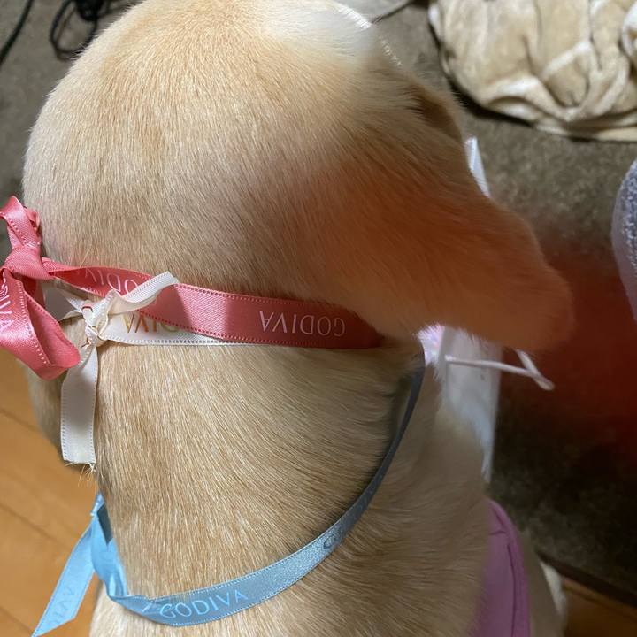 33452fcf c8b0 4f78 9325 509e9a33c99e 1615634770044