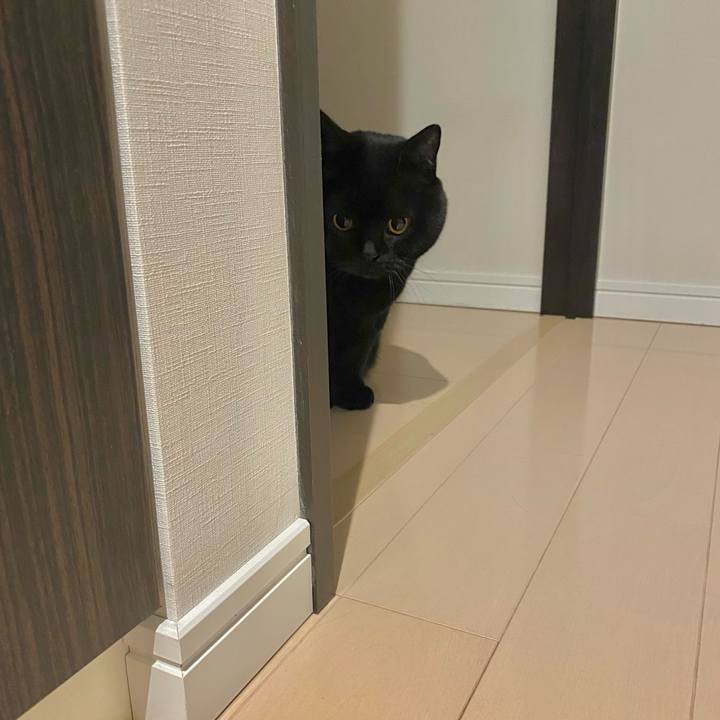 334557d2 57d7 4841 adea d505b00e4c72 1676722169331