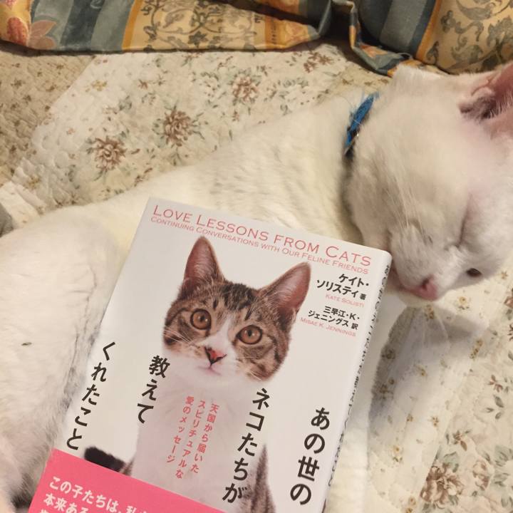 334565f6 25ee 42b5 9a96 89b2c234dc6a 1508239808133