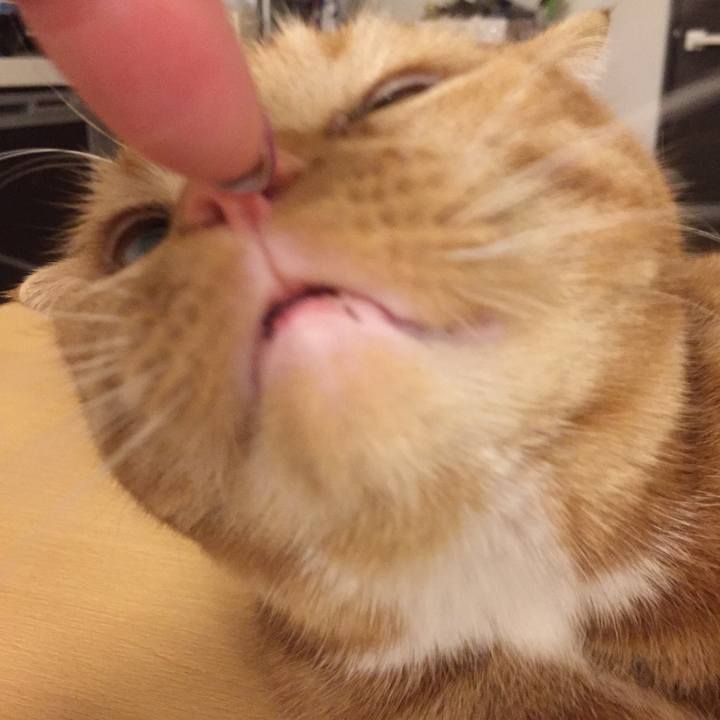 3345ae74 cdc2 439d 9946 131fe58c05be 1554163690498