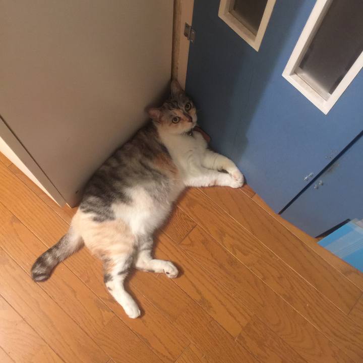 3345bce0 cd2b 442f 87fe 80dec9b6d668 1566148976294