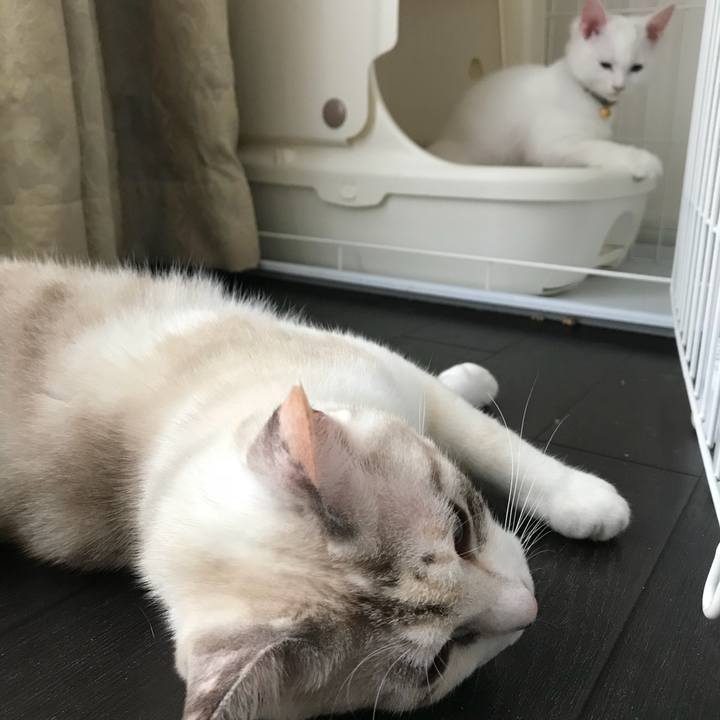 3345d066 7055 4df6 b4a2 6473a904848a 1508993842208