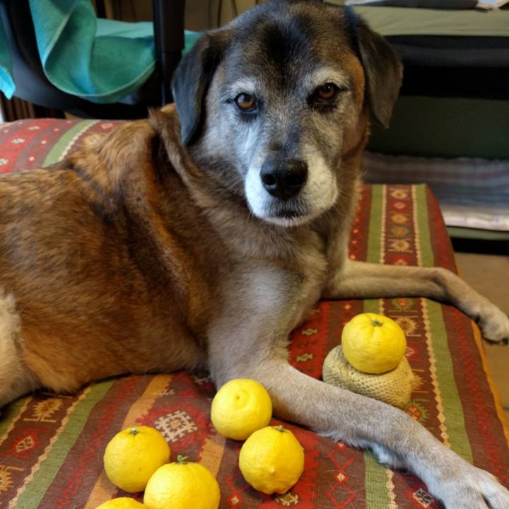 3345ef26 32ea 4c33 89fc 532050c91592 1514079866641