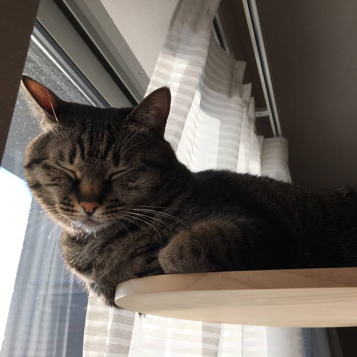 33463e6c 62c4 4c59 809a 4ec381e5e44d 1582756584596