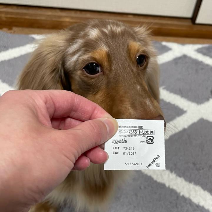 334674bd 532f 41ff b9fd 9c90aaff49fb 1765425813480