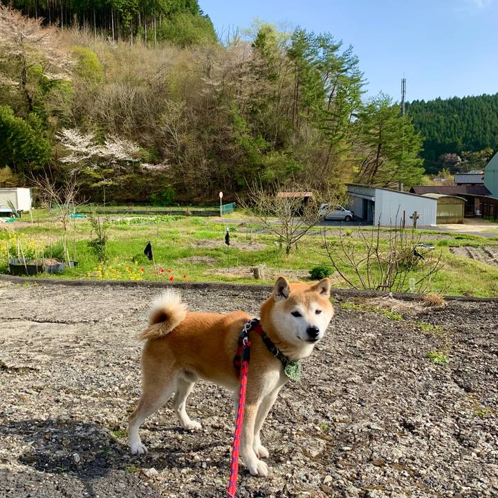 334698a5 658b 498d ad63 b0b675a3b066 1681375492424