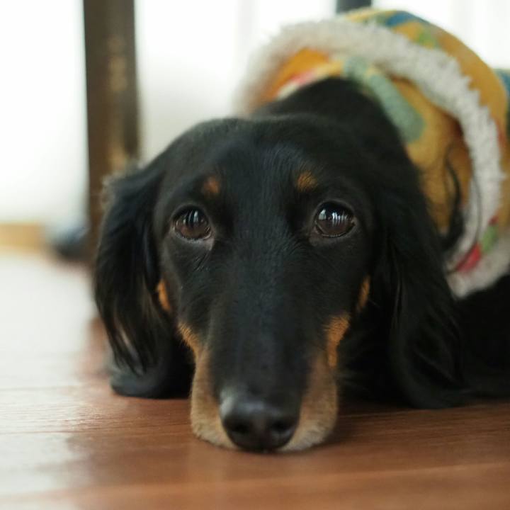 334699ae 296a 4c3a 9203 ee362b6e007c 1548800756082