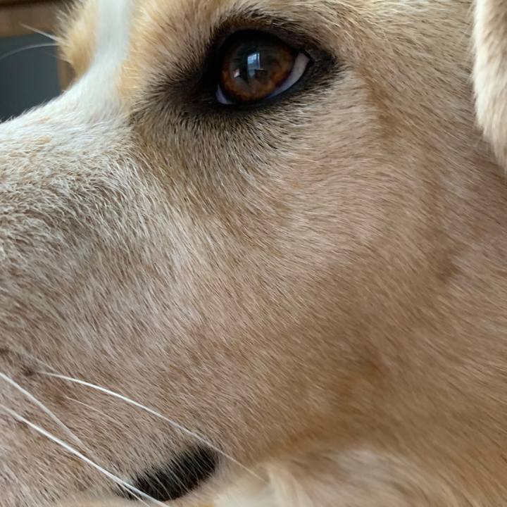 3346afb3 a0fc 4b78 aa2b a9acd7f3656f 1551597798958