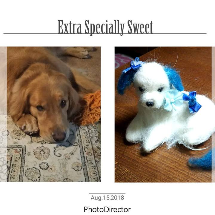 3346cfea 125d 4951 b3b6 a10351f38ba3 1534330182149