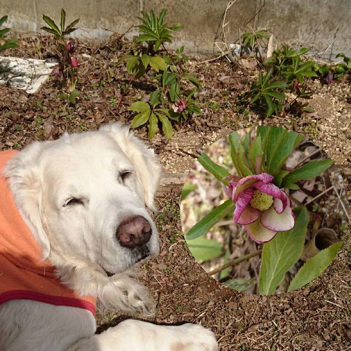 3346fa80 32fa 4e6d 9e3e e1e8b8296fcd 1518201429455