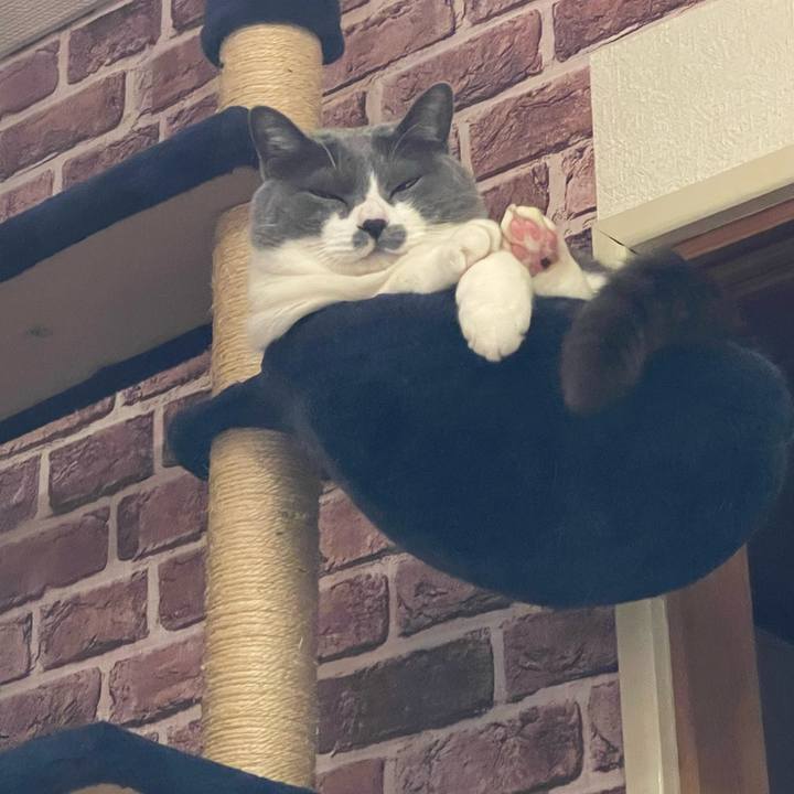 33476086 c635 4c80 890c d6a75e08d5e2 1714818051117