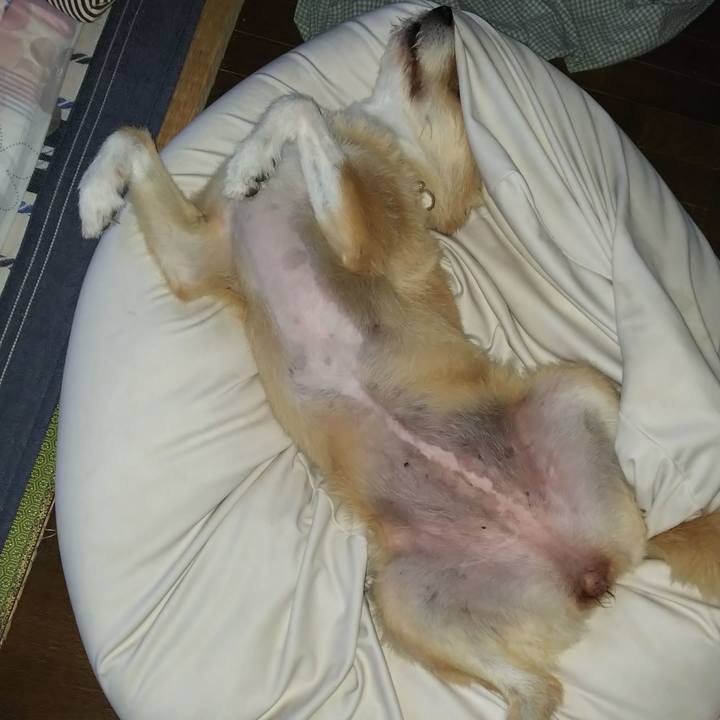 3347e340 7c1d 408f a2bf b27d275d7868 1562964718442