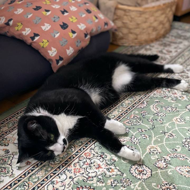 33480280 7a71 4ded b8aa cc9659419a06 1685329141943