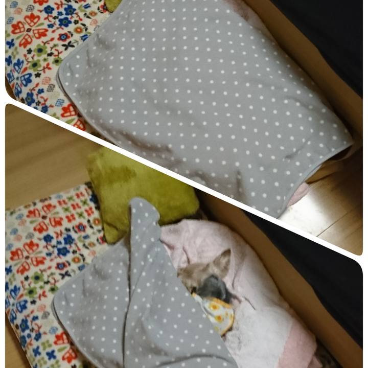 33481409 9022 4b8b 9827 4e23237143e5 1548468248105