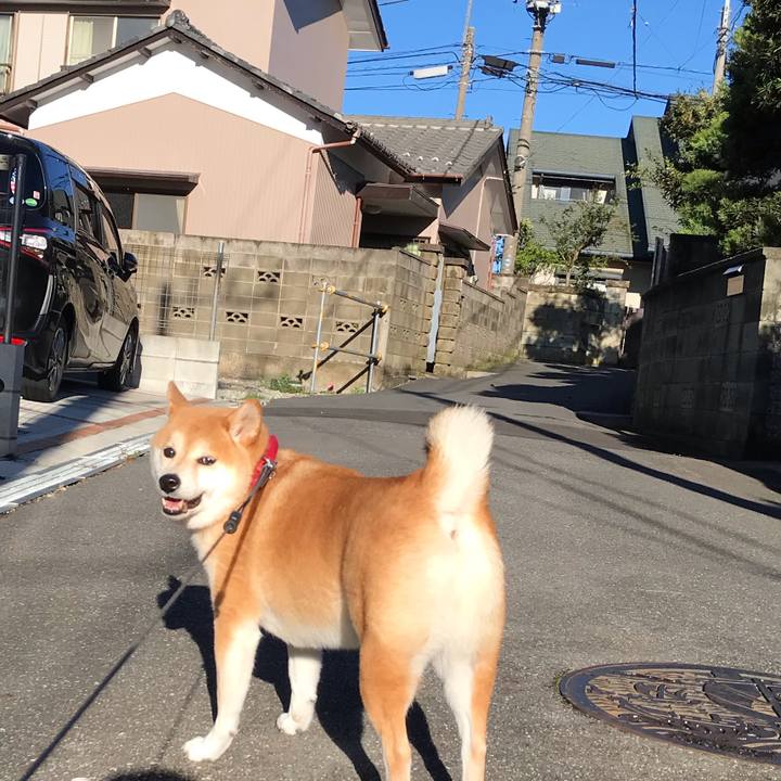 3348266f 9348 4ee4 9560 1c4b5e157905 1570921053639