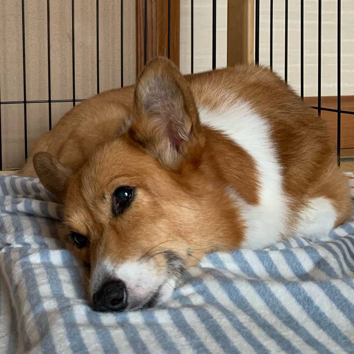 33483b78 59ab 4ab7 80a4 b62eec4ff330 1630728794955